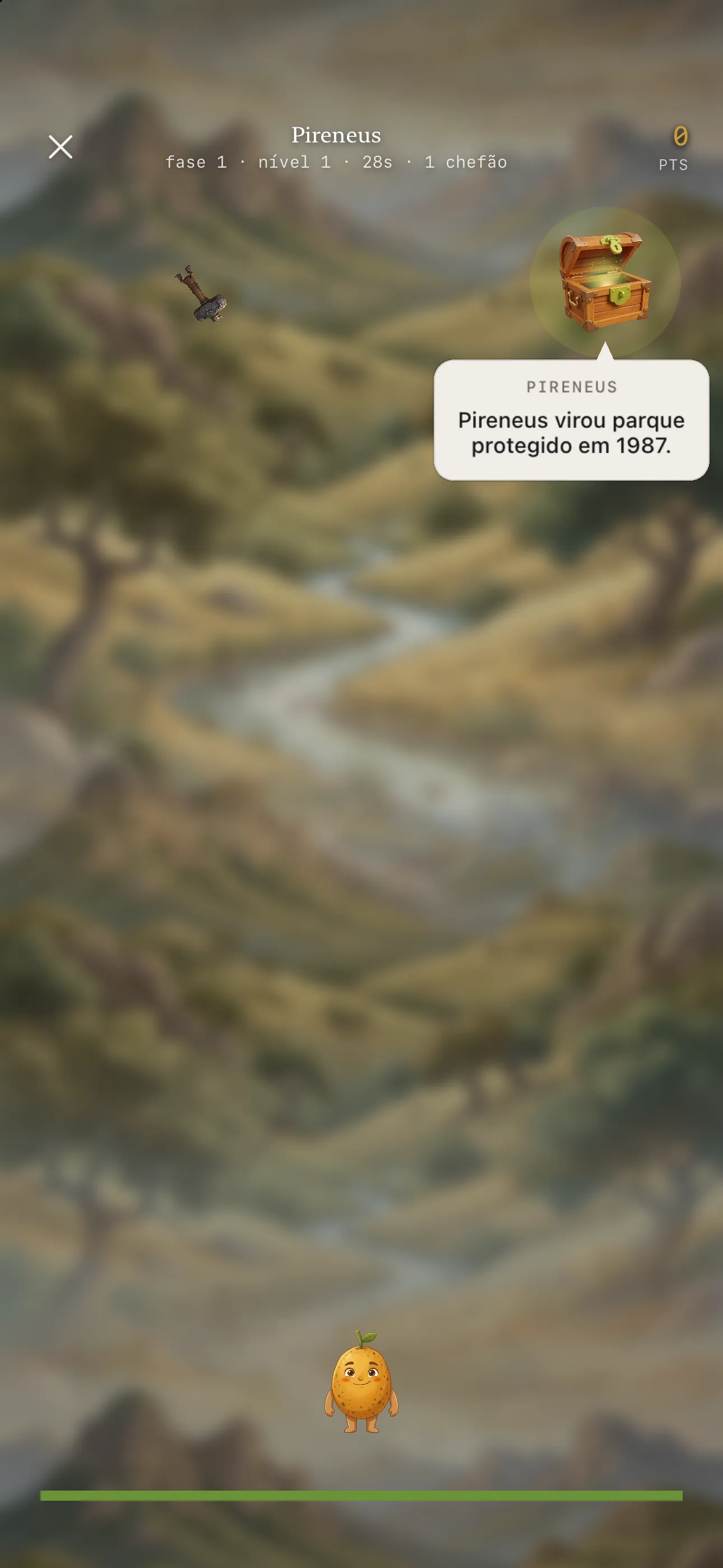 Pequi BLA: curiosidade no bau