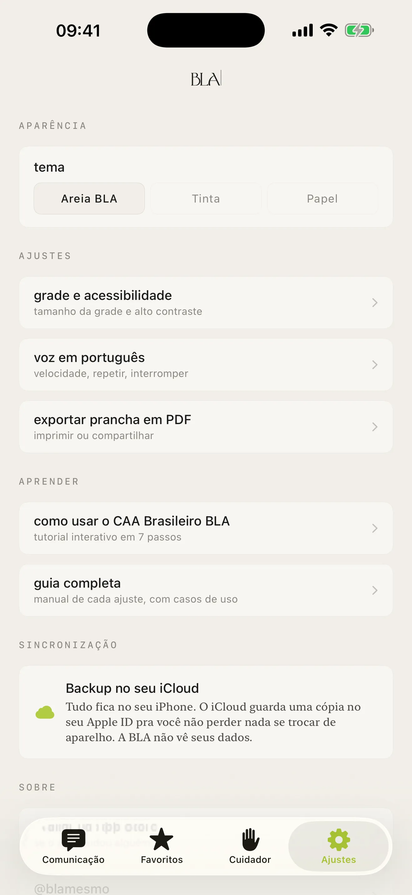 CAA Brasileiro BLA: Configurações. Tema, voz, acessibilidade, exportar prancha em PDF, sincronização iCloud.